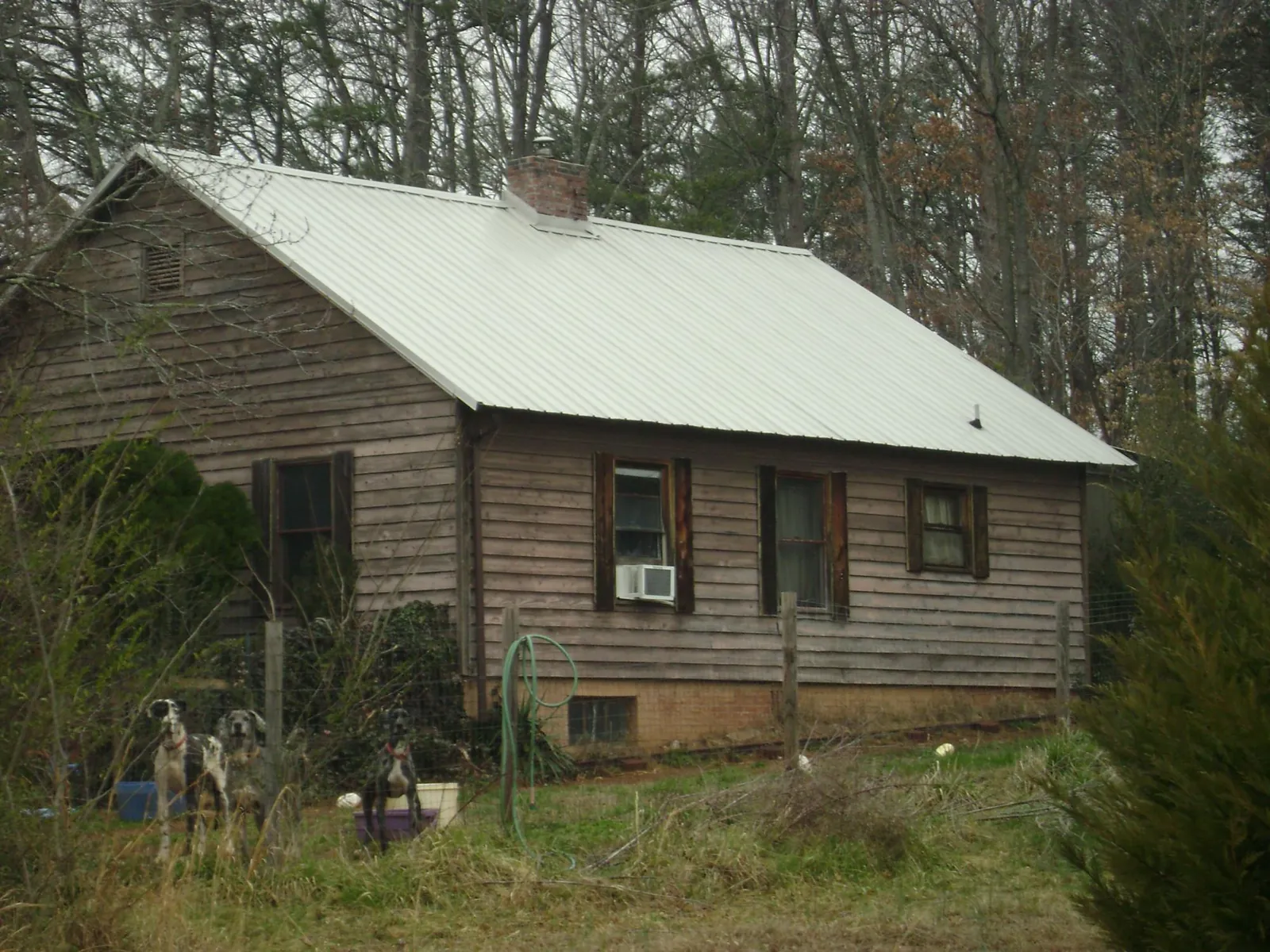 White metal roof on an old wood sided farmhouse, from a Metal Roof Installation job in Forest Lake